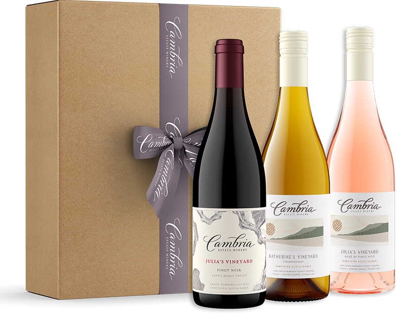 The Perfect Host's Pour Gift Set